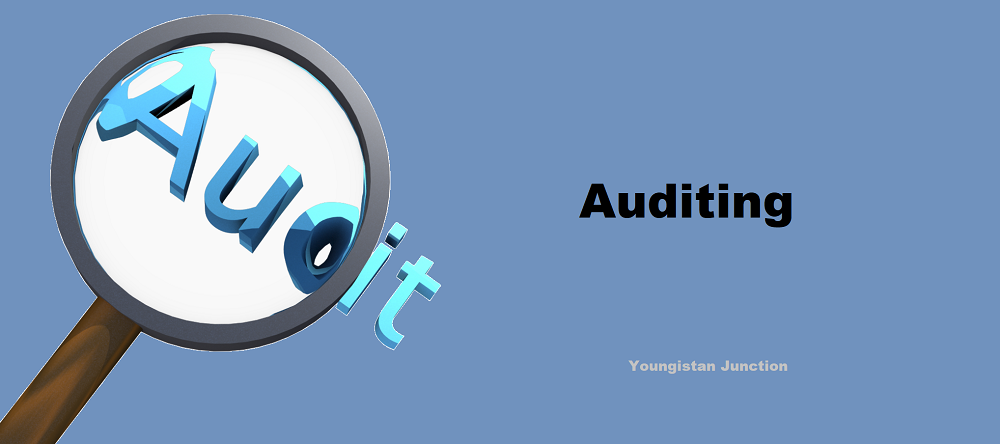 What Is Auditing In Accounting