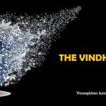 The Vindhyan Systems